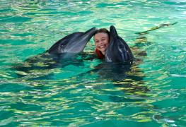 Lovina, swimming with dolphins